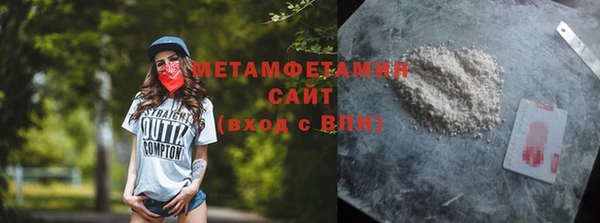 индика Ельня