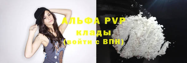 винт Елизово