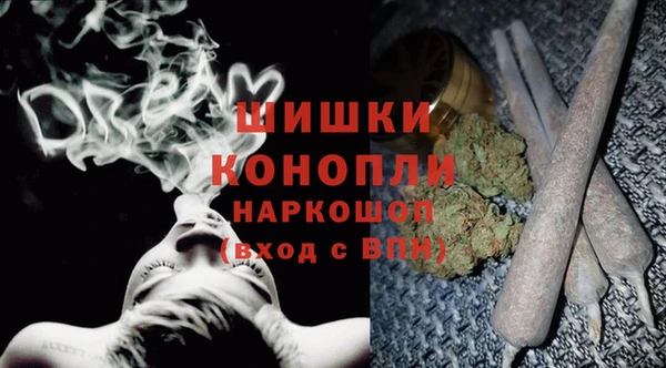 дмт Алзамай