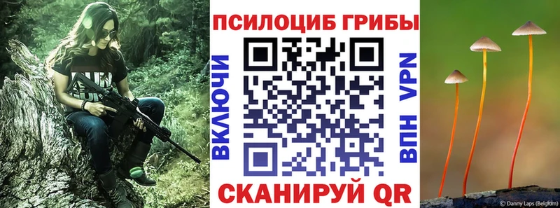 Галлюциногенные грибы MAGIC MUSHROOMS  Кольчугино 