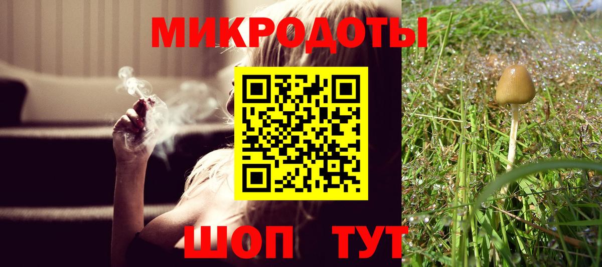 Галлюциногенные грибы Magic Shrooms Кольчугино