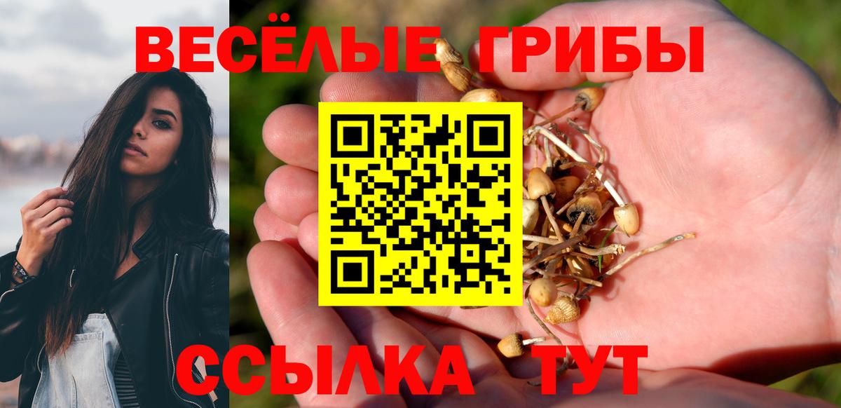 Псилоцибиновые грибы Magic Shrooms  Вход с VPN  Псилоцибиновые грибы ЛСД  Кольчугино 